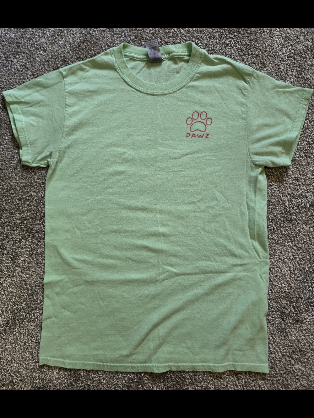 PAWZ Mint Green Paw Logo Tee